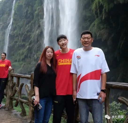 桑葚